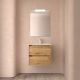 Salgar Noja 2 Drawer Wall Hung Vanity and Basin