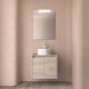 Salgar Noja 600mm 2 Door Wall Hung Vanity and Matching Countertop without Basin (Natural)